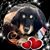 Stephanie Ann Mulder's profile image