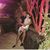 Eduardo Rodarte's profile image