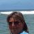 Denise Holybee Ellis's profile image