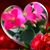 Kathleen Drennan's profile image