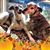 Lori Rose's profile image
