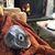 Lisa Robinson-Redd's profile image