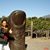 Janet Herrberg's profile image