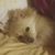 Trudy Clark-Bandy's profile image