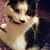 Jayne Taylor's profile image