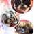 Rhonda Aton's profile image