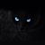 Donna Marlowe DaValt's profile image