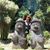 Angie Kim's profile image