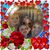Dorothy Boyd's profile image