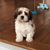June Pelais Wittkowski's profile image