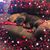 Allison Wood Schneider's profile image