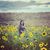 Cori Brianne's profile image