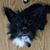 Frankie Marie Looney's profile image