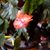 Barbara MacBriar's profile image
