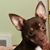 Kay Leuthauser Mackey's profile image