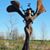 Candace Barrigar's profile image