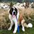 Monica Mohlman's profile image