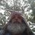 Keith Lavender's profile image
