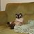 Karen Jones's profile image