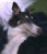 Oksana A.'s profile image