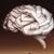 Richard Glaser's profile image