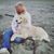 Sue Rolik-Szalay's profile image