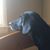 Kate Smith's profile image