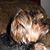 Zsa Zsa-Jolie Smith's profile image