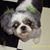 Lisa Dworakowski's profile image