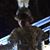 Susan Schoen Holmes's profile image