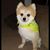 Jillian Roberts-antipas's profile image