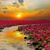 Cathy Meadows Warnock's profile image
