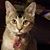 Brenda Marshall Kent's profile image