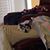 Liz Ibarra Mahaffey's profile image