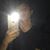 Lalo Esparza's profile image