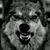 Omi Audifre's profile image