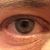 David E. Nichols's profile image