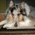 Jo Olin-Garcia's profile image