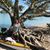 Karen Kelly Schaack's profile image