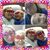 Hollee Olinger's profile image