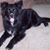 Janice Dempewolf Ross's profile image