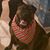 Karen Erwin's profile image