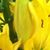 Marilyn Olay's profile image