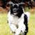 Jean Wilson's profile image