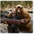 Beth Trudeau's profile image
