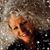 Devita Williams Johnston's profile image
