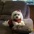Diane DeGailler Zane's profile image