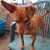 Cynthia Tomlinson's profile image