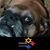 Peggy Tatara's profile image