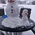 Kristin Tallant's profile image